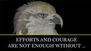 Presidential Quotes That'll Inspire You