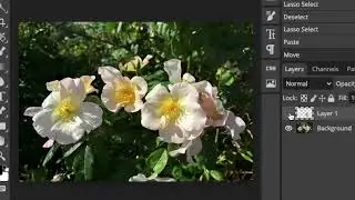 How to change a composition for a painting using Photopea.