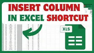How To Insert Column In Excel Shortcut | Add Column in Excel