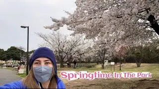 Springtime In The Park