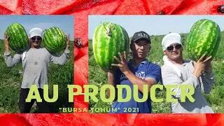 UZBEKISTONDA NUMBER 1 BURSA TOHUM AU PRODUCER.