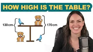 How High Is the Table? – Can You Solve This Viral Puzzle?