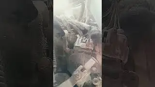 10 июня 2024 г.