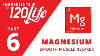 Magnesium - Ingredients of 120/Life