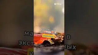 Необычные люди