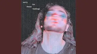 Sorry For These Feelings