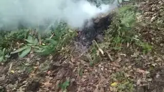 #vlogs perjalan menuju panjat pohon cengkeh