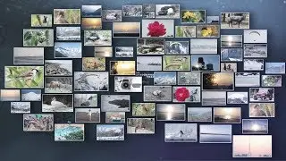 How to make a Photo Slideshow in After Effects - 3D Photos Slideshow ( After Effects Tutorial )