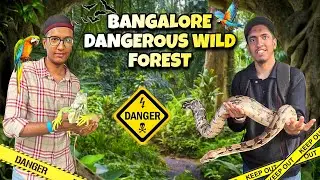 Exploring Bangalores Dangerous Wild Forest ☠️ | Bangalore Adventure Vlog