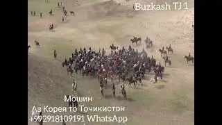 #бузкаши