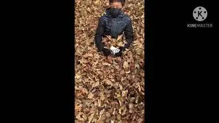 Goat malk commercial