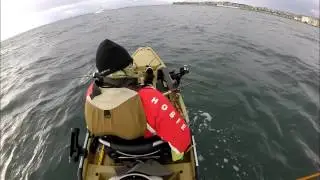 Cabrillo Fiesty Halibut 11 30 14
