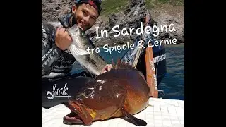 Pescasub: In Sardegna tra Cernie & Spigole.