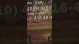 #рыбалка