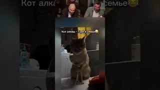 LAUGHED AND SUBSCRIBED! Part 076😂I'VE BEEN LAUGHING ALL DAY🤣