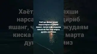 #rek #uzb #jannatga #oshiqlar #obuna #bolin хулоса узиздан достларим сог болилар