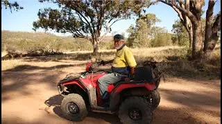 Dingoes Photo Essay Claravale Station