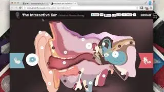 Learn Javascript 1 Tutorials   Intro to Javascript