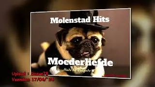 Molenstad Hits (2002)  -  Delgado Lied