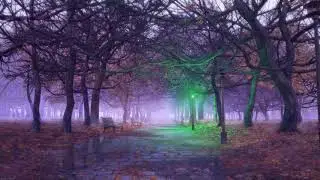 Karasu - Echoes down the hill (from Maple Leaves)