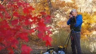 Zion 2019 Preview