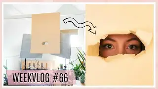 INSTAGRAM FOTO'S MAKEN VANUIT HUIS 📸✨// WEEKVLOG #66 | Irina Touw