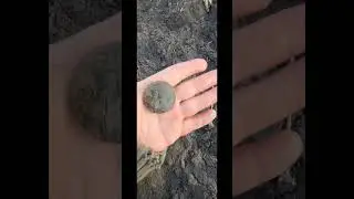 Сезон відкрито 🔥