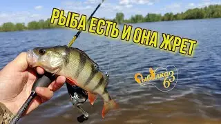 The fish is there and it is EATING. Ultralight fishing in May