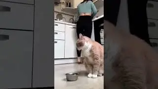Бастуем