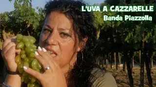 L'UVA A CAZZARELLE - Banda Piazzolla