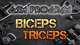 GYM PROGRAM : Biceps & Triceps [ Arms vol 2 ]