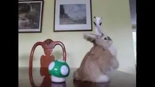 Jackalope rejects marios mushroom