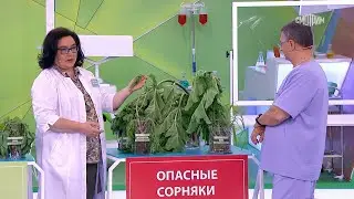 О самом главном. Выпуск от 10.06.2024