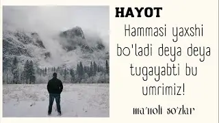 Hayot | statuslar va aforizmlar 