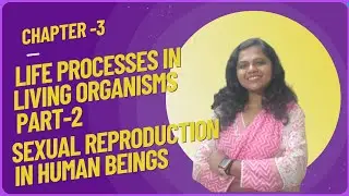 Life Processes In Living Organisms Part-2 | Sexual Reproduction In Human Being | Class 10 |