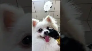 There was a surprise at the end! 
