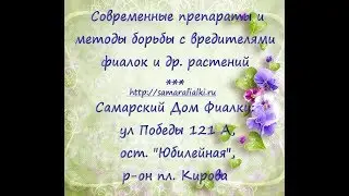 Современные препараты и методы борьбы с вредителями фиалок и др.растений (Самарский Дом Фиалки)