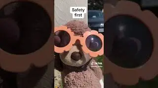 Chad the Monkey's Yardwork