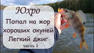 Юхро. Попал на жор хороших окуней. Часть 1