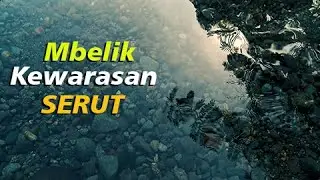 Mbelik Serut Kewarasan - Stock Video Footage Alam Desa