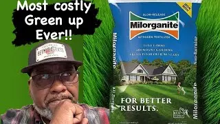 Milorganite will break you , but it Greens like no other.