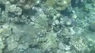 20150307 125345 V