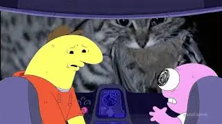 vegan cat owners when they find out the truth