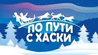 По пути с хаски
