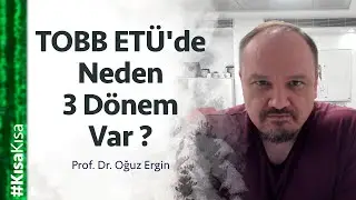 Why are there three terms at TOBB ETU?