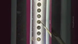 #satisfying speaker #cleaning under the #microscope at #phonefixcraft