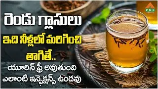 రెండు గ్లాసులు ఇది నీళ్లలో మరిగించి తాగితే.. యూరిన్ ఫ్రీ అవుతుంది.. | PMC Health