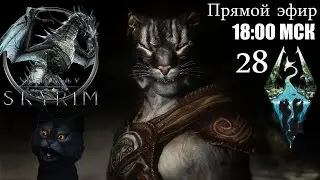 КАДЖИТ И МОРА ВЕЩИ СОВМЕСТИМЫЕ ♦ The Elder Scrolls V: Skyrim (SE) ♦ Прямой эфир ♦ 28
