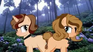 PMV --- Врагами