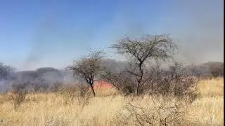 Thakadu Burn July 2017 4